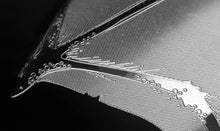 Load image into Gallery viewer, Gringott's Dragon