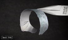 Load image into Gallery viewer, Buckbeak