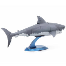 Load image into Gallery viewer, Great White Shark
