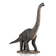 Load image into Gallery viewer, Brachiosaurus
