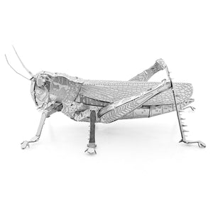 Grasshopper