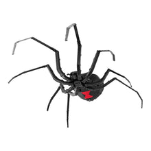 Load image into Gallery viewer, Black Widow Spider
