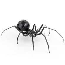 Load image into Gallery viewer, Black Widow Spider
