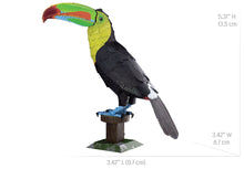 Load image into Gallery viewer, Keel-Billed Toucon
