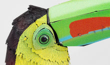 Load image into Gallery viewer, Keel-Billed Toucon
