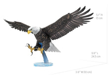 Load image into Gallery viewer, American Bald Eagle
