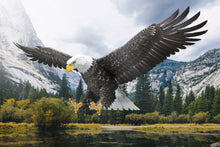 Load image into Gallery viewer, American Bald Eagle
