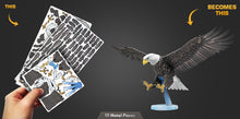 Load image into Gallery viewer, American Bald Eagle
