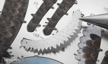 Load image into Gallery viewer, American Bald Eagle
