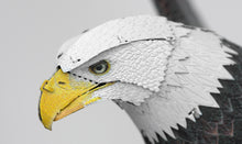 Load image into Gallery viewer, American Bald Eagle
