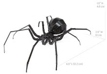 Load image into Gallery viewer, Black Widow Spider
