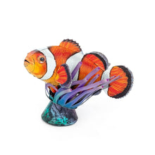 Load image into Gallery viewer, Clownfish

