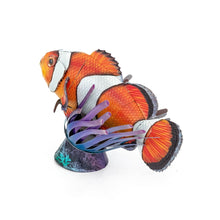 Load image into Gallery viewer, Clownfish

