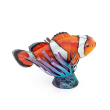 Load image into Gallery viewer, Clownfish

