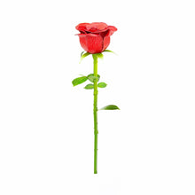 Load image into Gallery viewer, Red Rose
