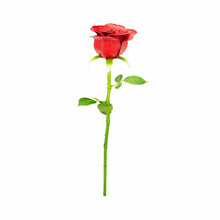 Load image into Gallery viewer, Red Rose
