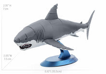 Load image into Gallery viewer, Great White Shark
