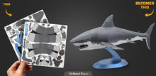 Load image into Gallery viewer, Great White Shark
