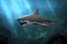 Load image into Gallery viewer, Great White Shark
