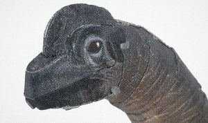 Brachiosaurus