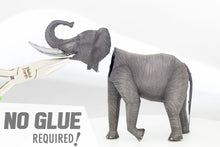 Load image into Gallery viewer, African Elephant
