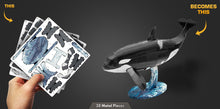 Load image into Gallery viewer, Orca

