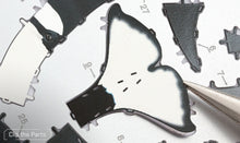 Load image into Gallery viewer, Orca
