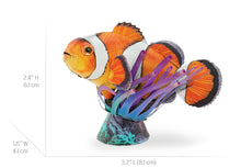 Load image into Gallery viewer, Clownfish
