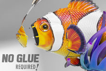 Load image into Gallery viewer, Clownfish
