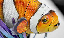 Load image into Gallery viewer, Clownfish
