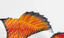 Load image into Gallery viewer, Clownfish
