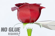 Load image into Gallery viewer, Red Rose
