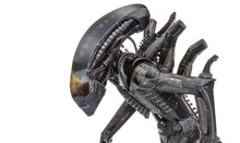 Load image into Gallery viewer, Xenomorph
