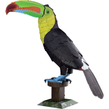 Load image into Gallery viewer, Keel-Billed Toucon
