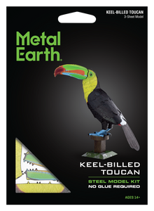 Keel-Billed Toucon