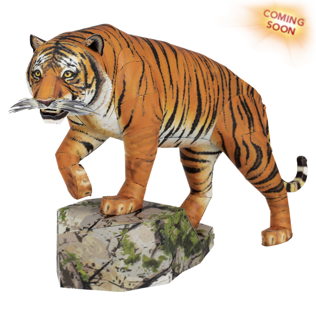 Bengal Tiger