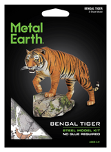 Load image into Gallery viewer, Bengal Tiger
