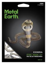 Load image into Gallery viewer, Cobra
