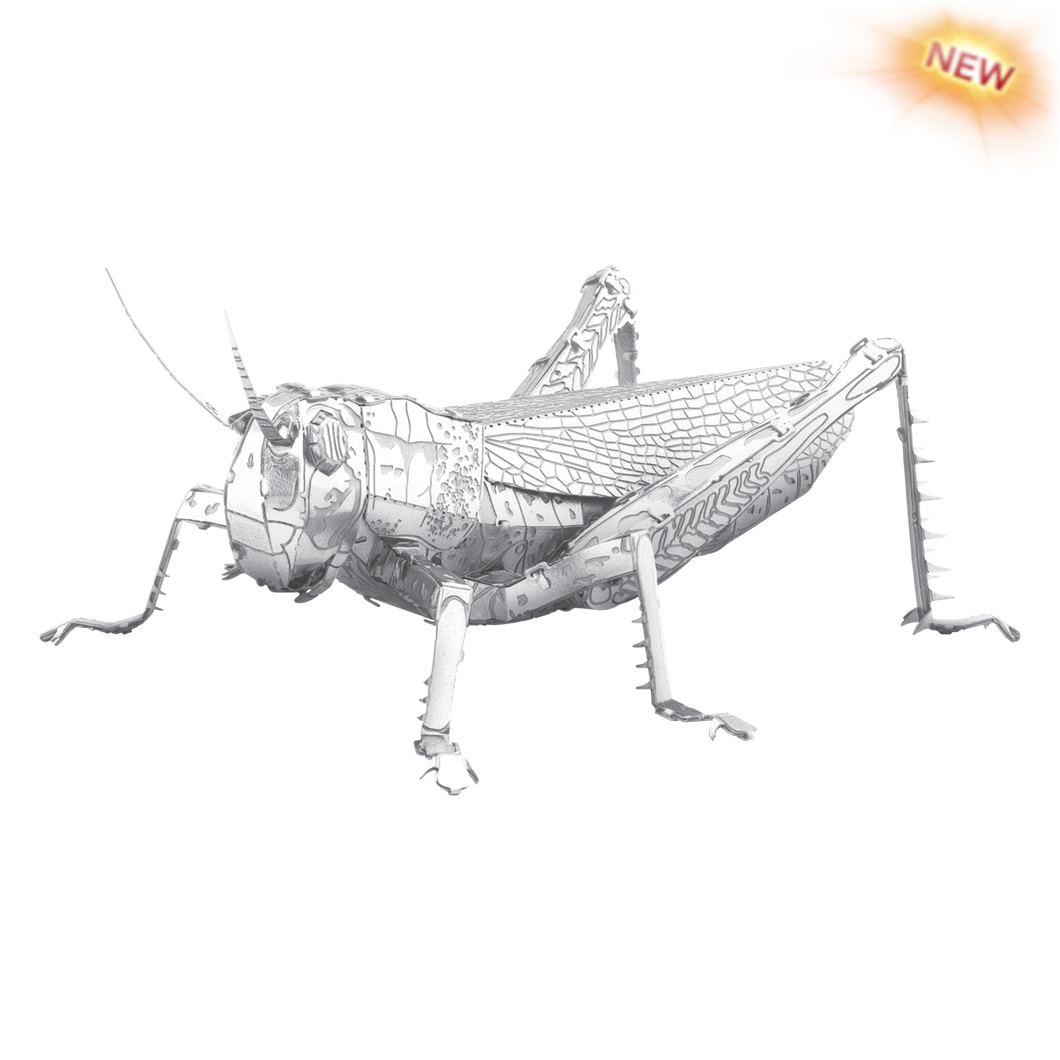 Grasshopper