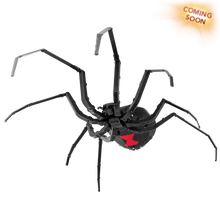 Load image into Gallery viewer, Black Widow Spider
