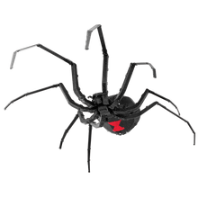 Load image into Gallery viewer, Black Widow Spider
