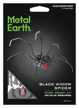 Load image into Gallery viewer, Black Widow Spider
