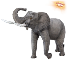 Load image into Gallery viewer, African Elephant
