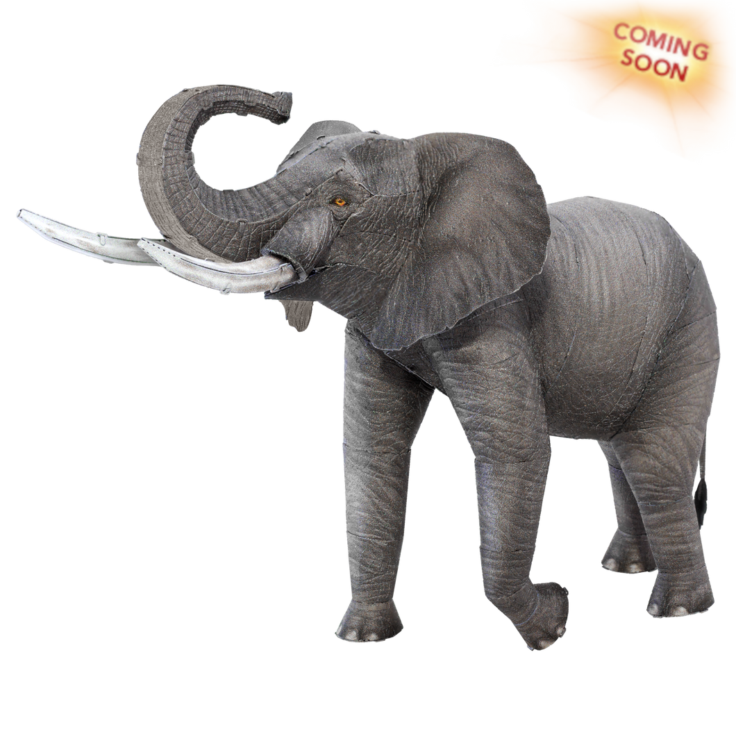 African Elephant