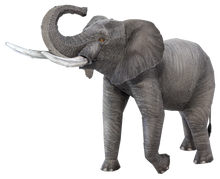 Load image into Gallery viewer, African Elephant
