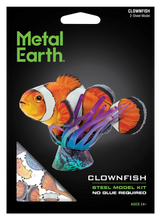 Load image into Gallery viewer, Clownfish
