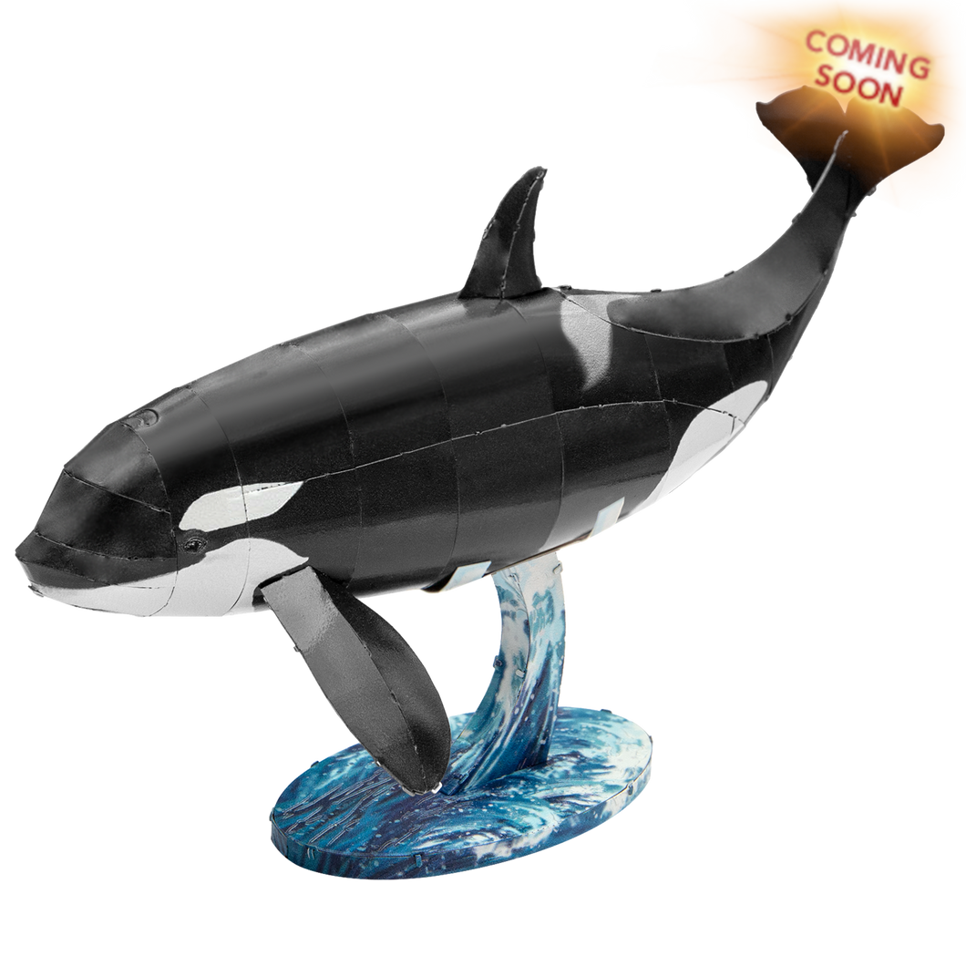 Orca