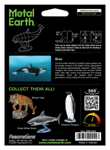 Load image into Gallery viewer, Orca
