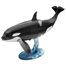 Load image into Gallery viewer, Orca
