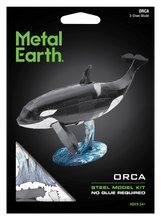 Load image into Gallery viewer, Orca
